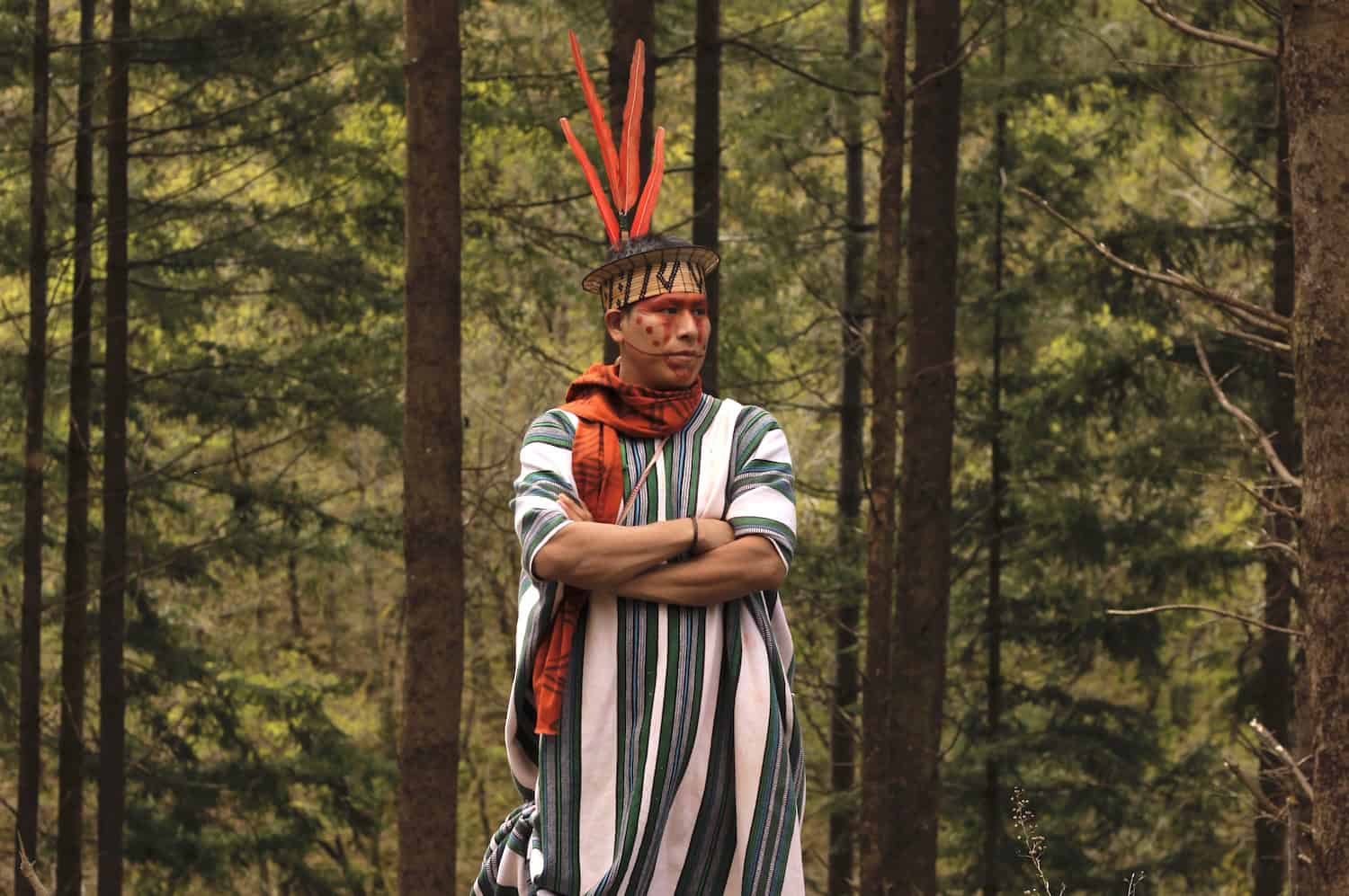 From Brazil to Britain: rainforest guardians unite in a bid to heal the land